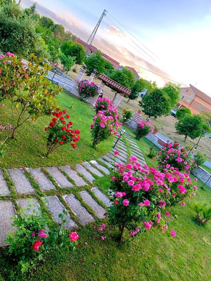 B&B Da Mary Matrice Ngoại thất bức ảnh